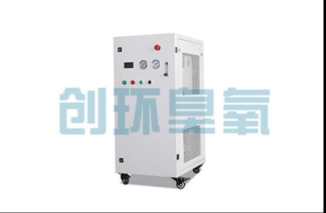 金山工厂化养鲈必看:2026年臭氧发生器替代传统消毒的最新方案