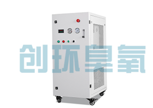 金山石斑鱼养殖水质调控完整指南:臭氧发生器配置与操作步骤