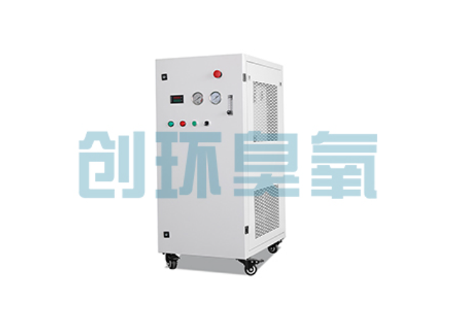 金山2026年石斑鱼养殖新趋势:为什么高密度循环水必须配备臭氧发生器?