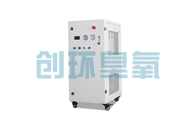 金山比传统换水更高效?臭氧发生器在石斑鱼养殖中的水质净化原理解析